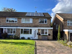 Front- click for photo gallery